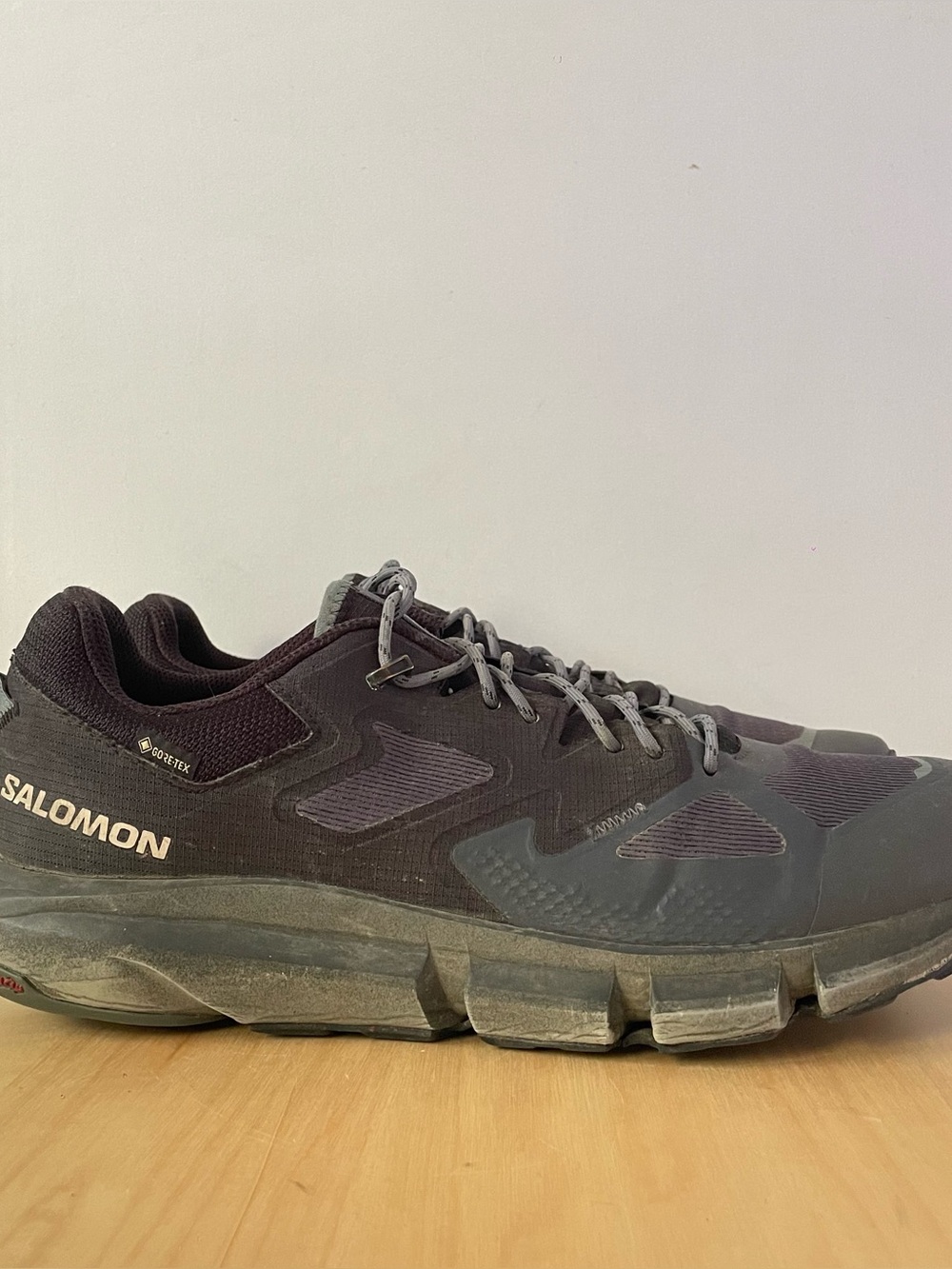 Salomon Predict Hike GORE-TEX Hiking Shoes | US 13